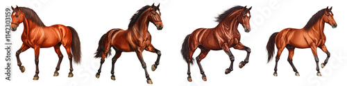 Powerful Chestnut Horses Running and Galloping in Nature Landscape