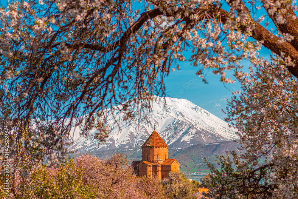 Akdamar Island in Van Lake. The Armenian Cathedral Church of the Holy Cross - Akdamar, Turkey