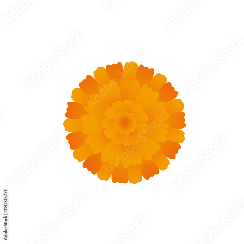 Orange marigold flower isolated on transparent background,png image,Indian traditional functions pongal, vishu, ugadi, diwali, marriage, pooja,onam pookalam