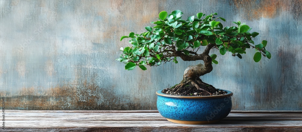 Ficus Panda Images  Browse 76 Stock Photos, Vectors, and Video | Adobe  Stock