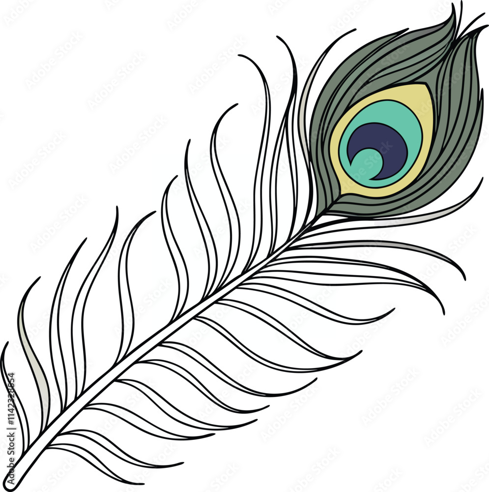 Obraz premium beautiful-peacock-feather-vector-design- (1).eps