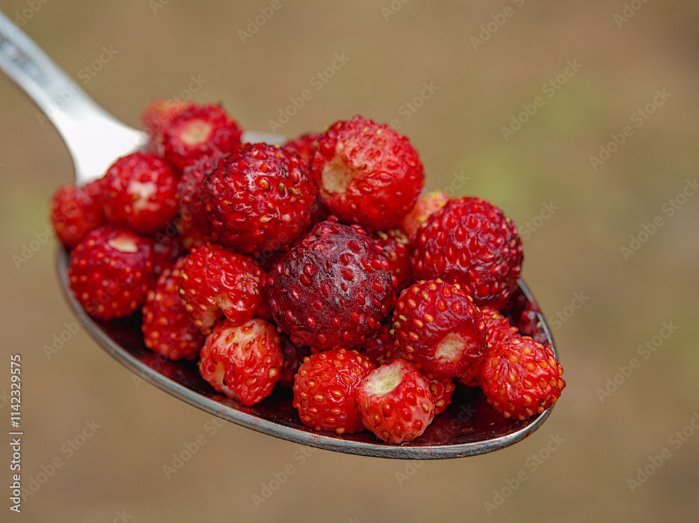 Tablespoon full of ripe forest red strawberry Tablespoon full of ripe forest red strawberry
