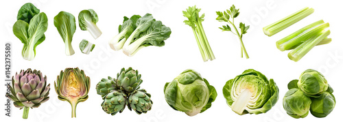 Collection of 4 vegetable fruit plant. Bok choy, pak choi, pok choi, Artichoke, Brussels Sprouts, Celery celeries on transparent cutout PNG. Mockup template for artwork design	
 photo