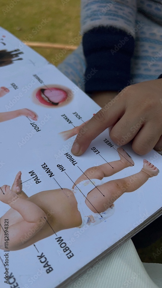 Obraz premium Homework Practice, Reading, Writing, Drawing