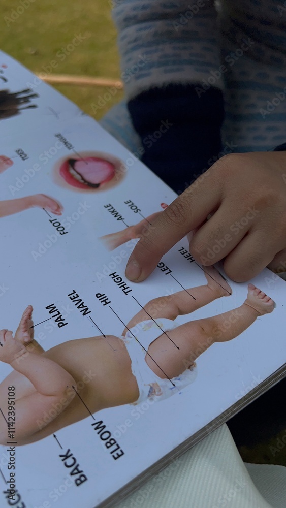 Obraz premium Homework Practice, Reading, Writing, Drawing