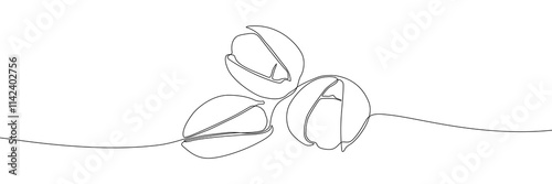 Pistachio nut continuous line drawing vector illustration