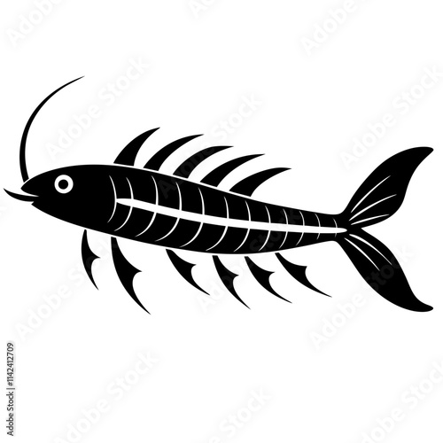 Lord howe island phasmid fish vector art illustration  photo