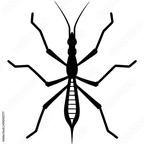 Lord howe island phasmid fish vector art illustration  photo