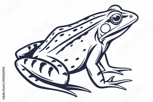 Frog, A frog in a crouched pose vector silhouette on a white background