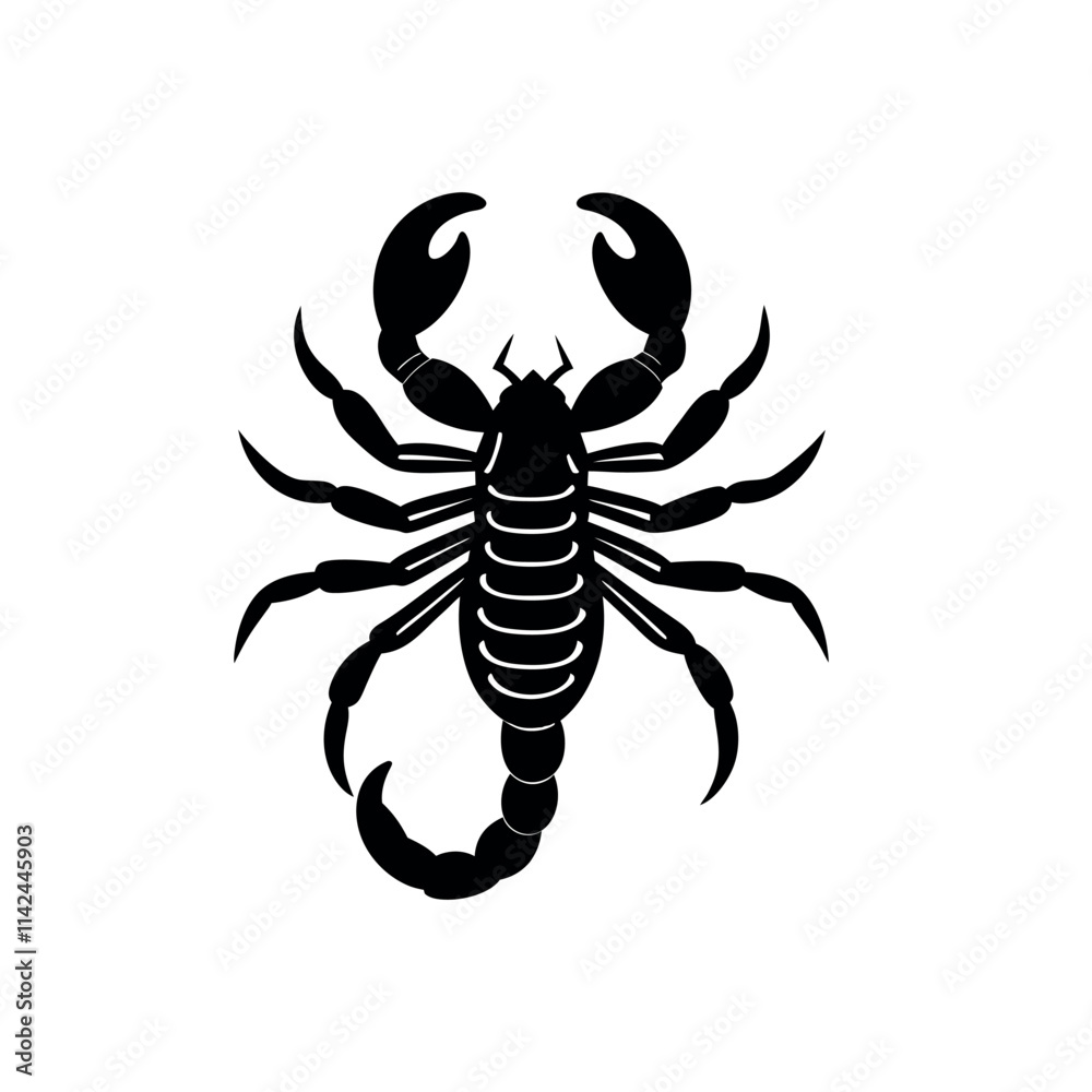 Fototapeta premium scorpion silhouette isolated on white background
