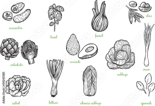 Green vegetables line drawing collection isolated on white background.