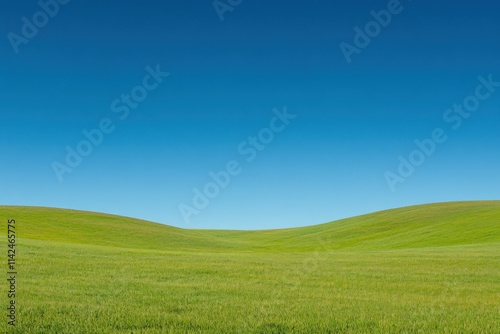 Lush Green Field Under Clear Blue Sky