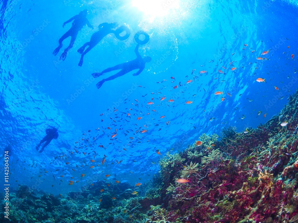 Fototapeta premium 南国の鮮やかな海でシュノーケルするイメージ