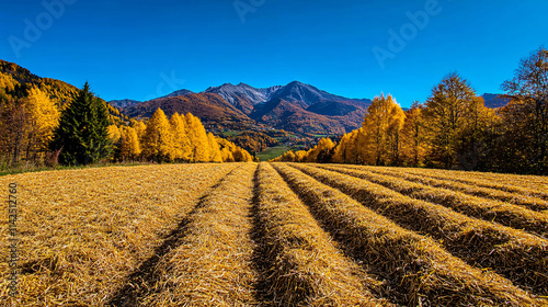 Serene alpine pasture in autumn with golden grass and mountains