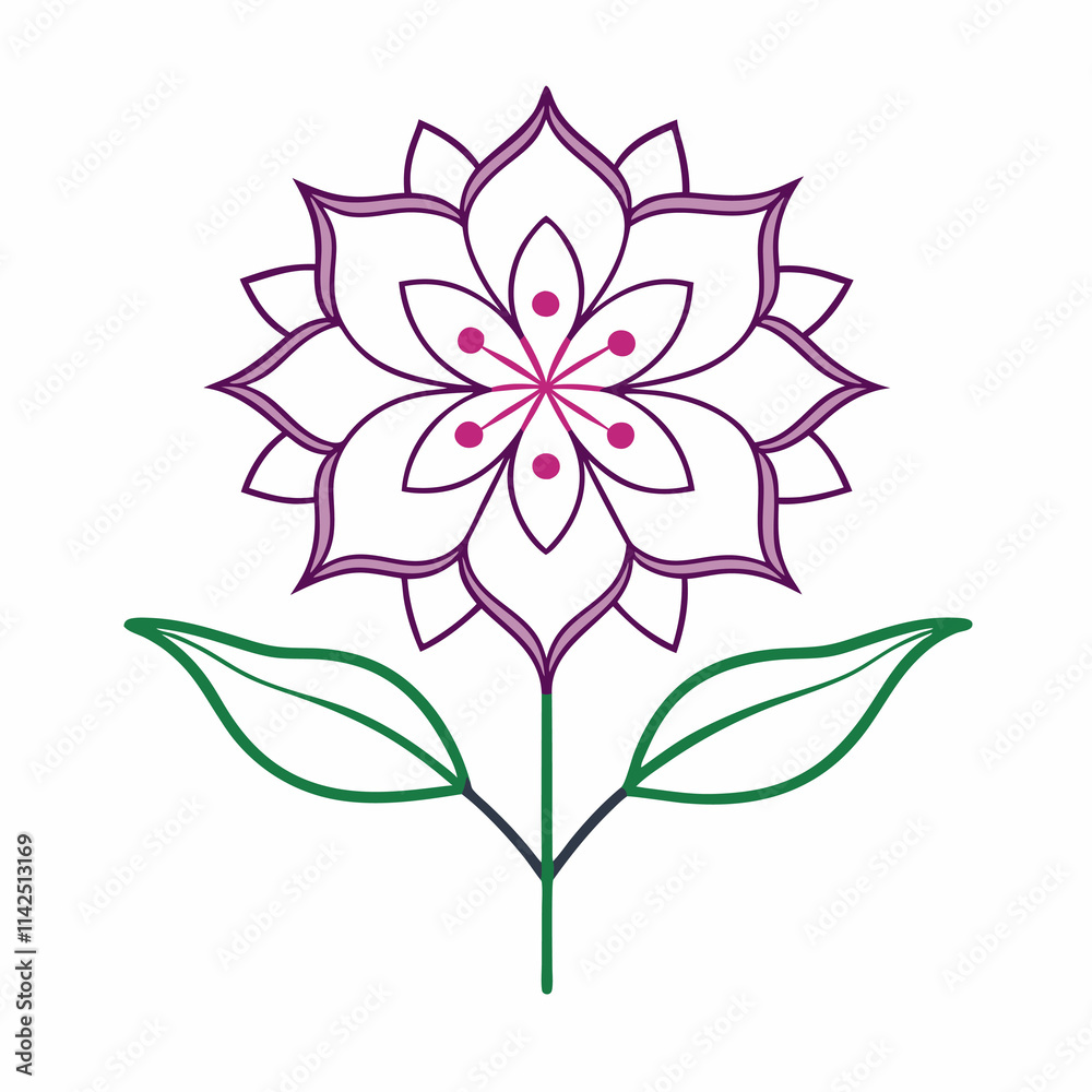 pink flower isolated on white background pink flower isolated on white background