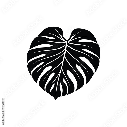 "Monstera Leaves Vector Illustration Isolated on White Background"