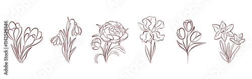 Spring flower line art set with crocus, snowdrop, peony, iris, tulip, and daffodil. Elegant botanical collection for design, print and decoration. Isolated on white background.