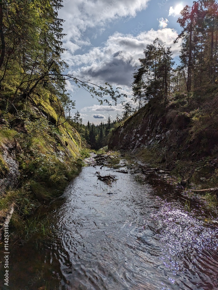 Fototapeta premium the forest road flooded by flood in Norway