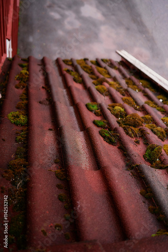 the elements of a red norwegian house on a rainy day