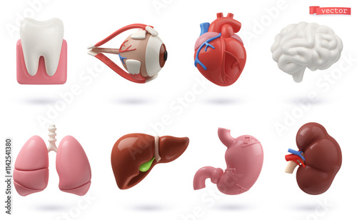 Medicine icon set. 3d render vector objects. Tooth, brain, heart, eye, lungs, liver, stomach, kidney, human internal organs