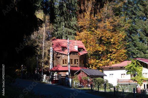 Romania Predial view on a cloudy summer day photo