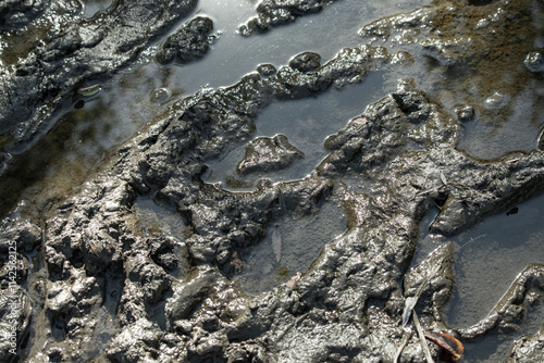 A muddy, wet surface with a lot of water and mud photo