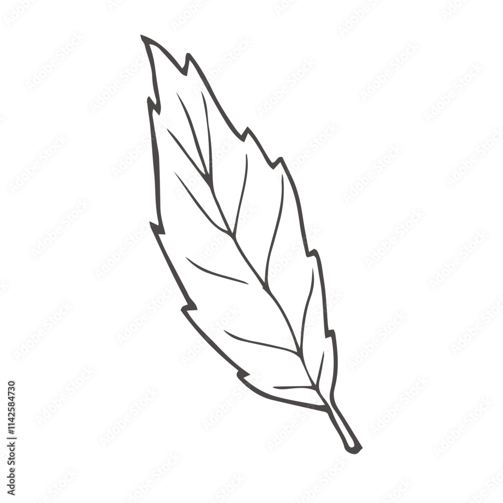 basil sketch. hand drawn basil outline illustration. basil black and white vector drawing. basil branch isolated on white background. vector illustration. basil sketch. hand drawn basil outline illustration. basil black and white vector drawing. basil branch isolated on white background. vector illustration.