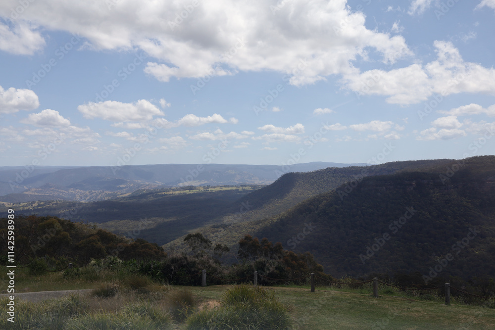 Fototapeta premium View of landscape in national park at blue mountain at australia