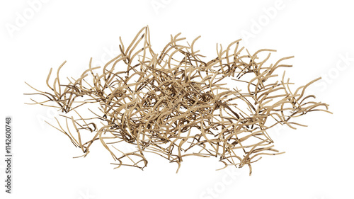 field grass isolated on transparant background. 3d illustration