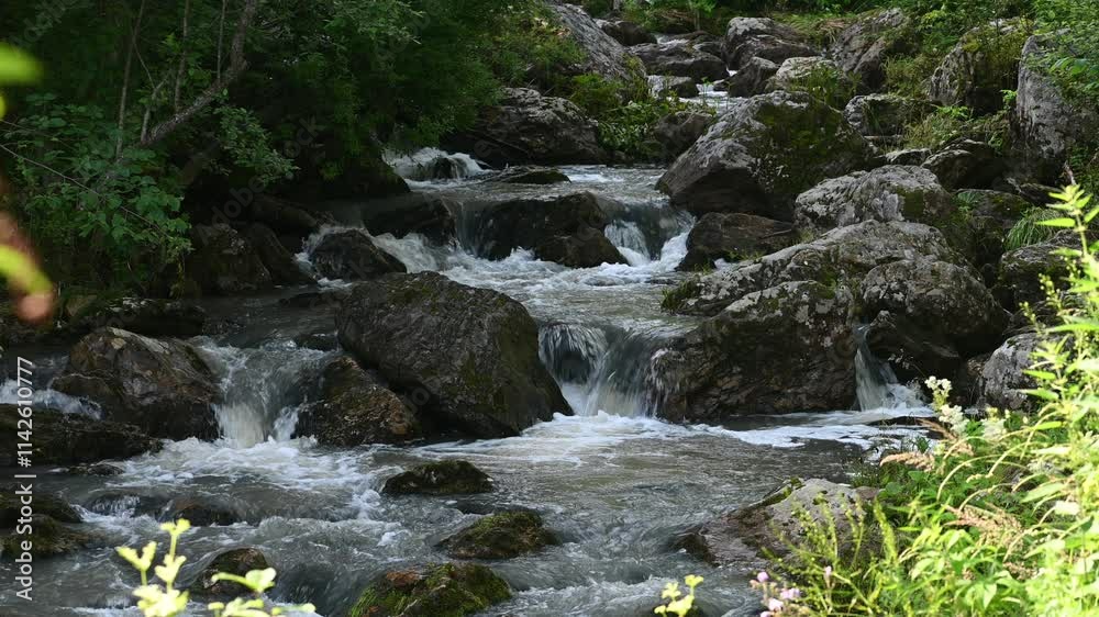 Flowing water cascades down a mountain stream, bubbling over rocks and creating a serene, natural landscape Flowing water cascades down a mountain stream, bubbling over rocks and creating a serene, natural landscape