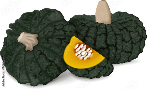 Whole and chopped Marina di Chiogga Squash or Chioggia Sea pumpkin. Winter squash. Cucurbita maxima.  Isolated vector illustration.