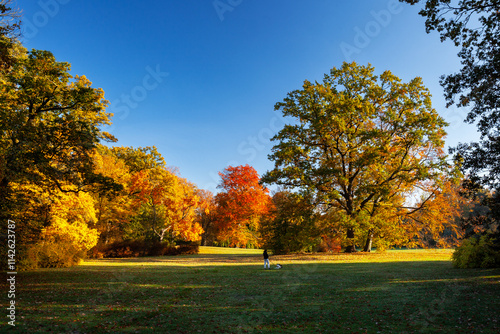 Autumn in the park