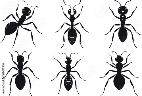 Ants set. Ants collection. Ants vector