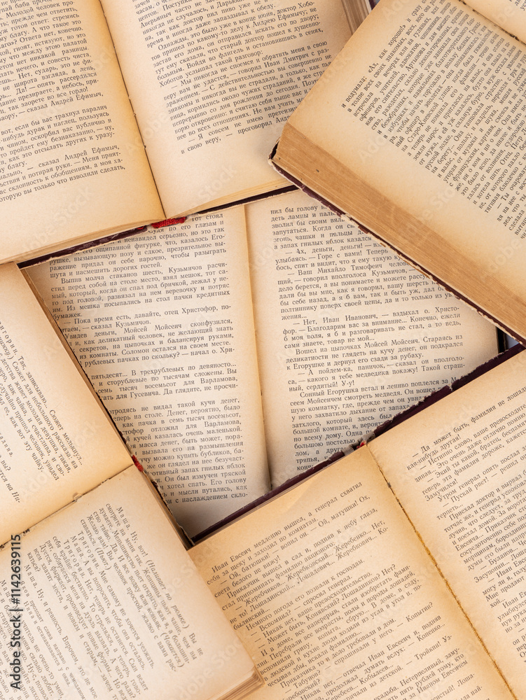 Obraz premium old books