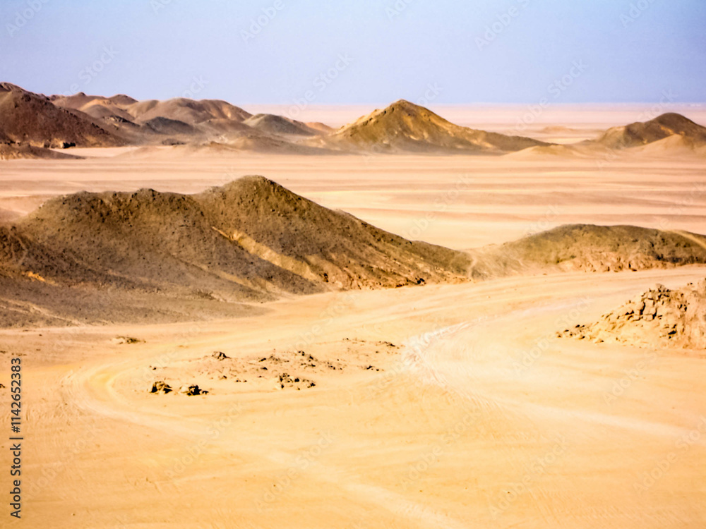 Egyptian desert beginning of the desert sugar in Egypt Egyptian desert beginning of the desert sugar in Egypt
