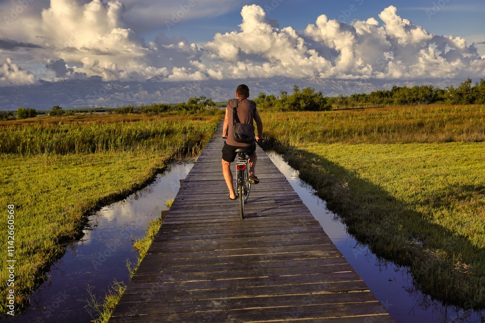 Obraz premium tourist on bicycle rides between water 