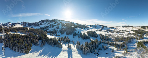 wintry panoramic aerial vie...