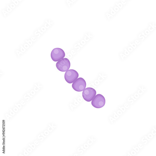 streptococcus pneumoniae bacteria illustration