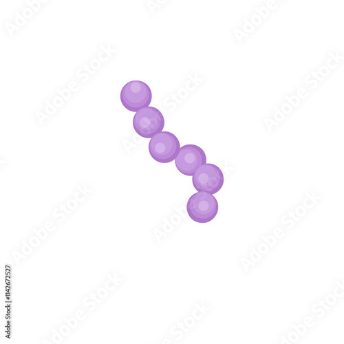 streptococcus pneumoniae bacteria illustration