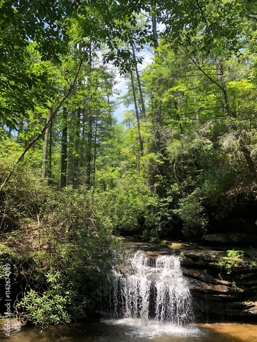 waterfall in the forest