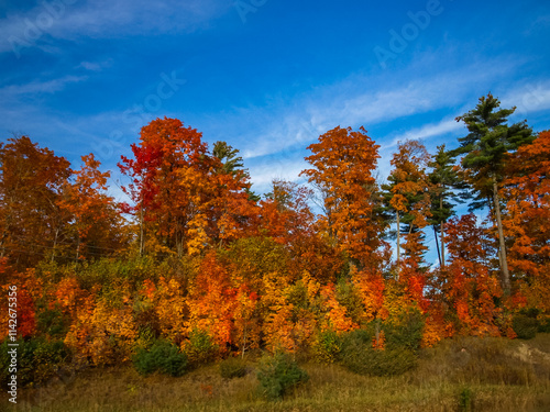 Autumn on the shore of Lake Huron, a beautiful autumn landscape photo