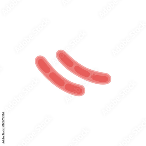 Klebsiella Pneumoniae illustration