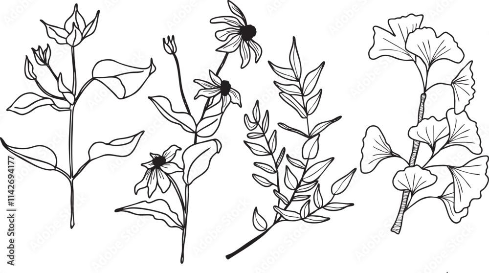 Illustration fleurs feuilles plante branche vecteur traits noirs