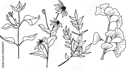 Illustration fleurs feuilles plante branche vecteur traits noirs