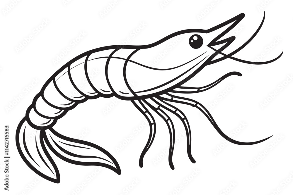 shrimp vector line art, shrimp icon vector, Sea lobster. EPS File shrimp vector line art, shrimp icon vector, Sea lobster. EPS File