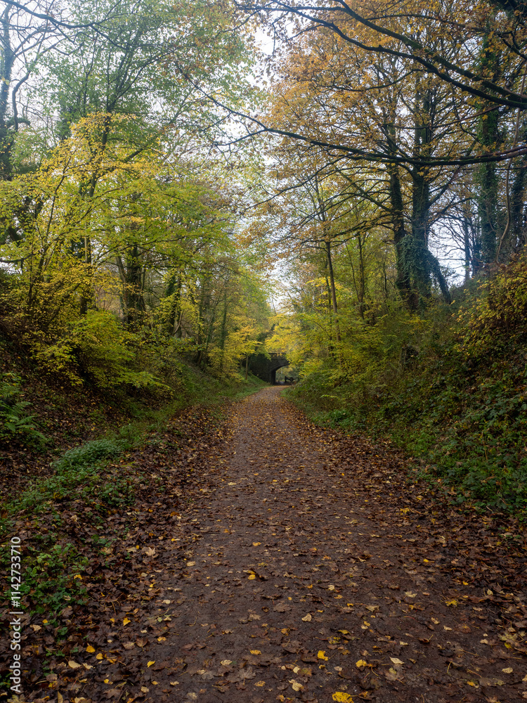 Footpath on old railway track bed in Autumn Footpath on old railway track bed in Autumn