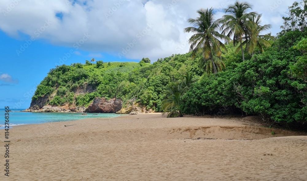 Obraz premium Plage de Guadeloupe