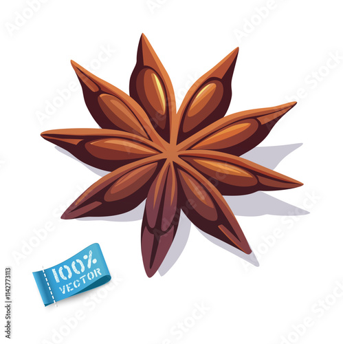 Vector illustration. Star anise isolated on white background. Element for design