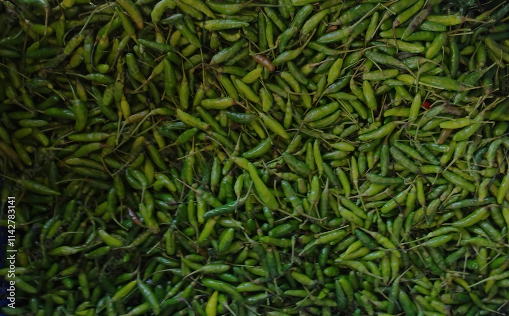 A vibrant mass of fresh green chili peppers, ready for use in a variety of dishes 1 A vibrant mass of fresh green chili peppers, ready for use in a variety of dishes 1