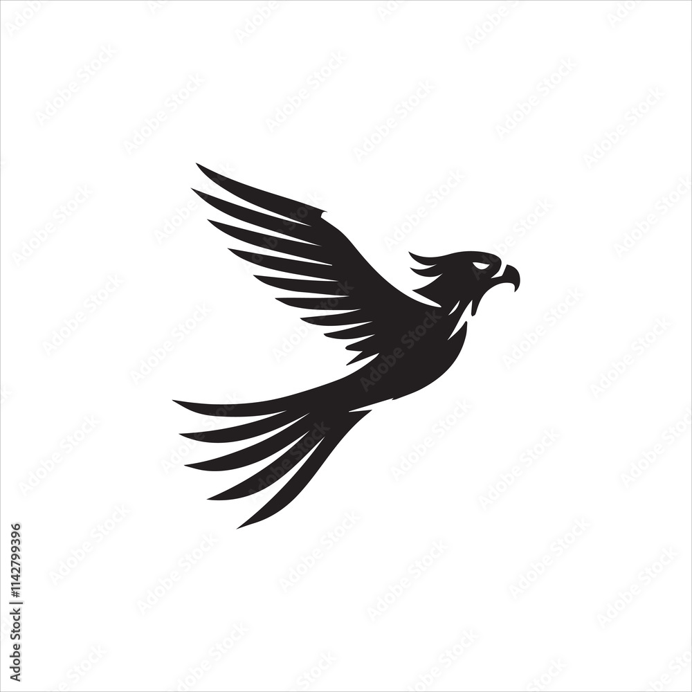 Obraz premium dove on white